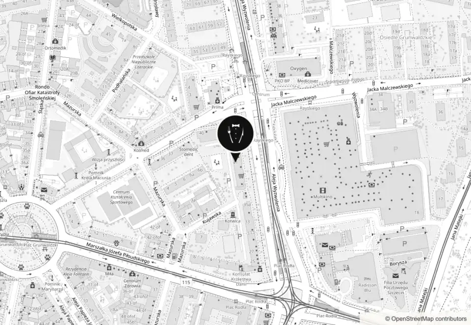 Mapa: U Kelnerów, al. Wyzwolenia 41 w Szczecinie, przy Placu Rodła